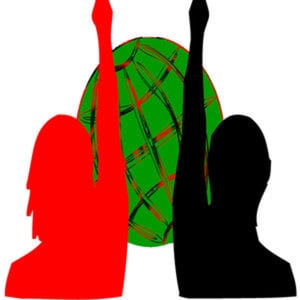 Profile picture for Democracia Inclusiva