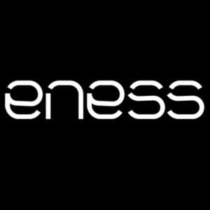 Profile picture for ENESS