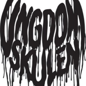 Profile picture for Ungdomskulen