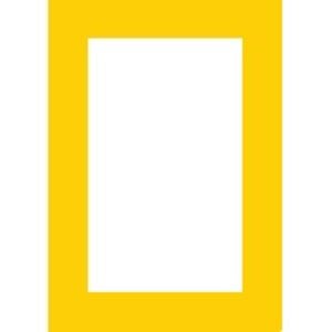Profile picture for The India Trading Company