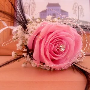 Profile picture for Anita Collins