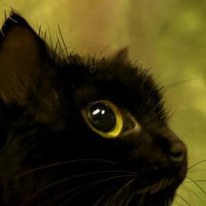 Profile picture for sonikmh