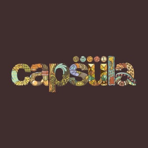 Profile picture for Capsula Filmes