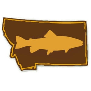 Profile picture for Steve Hoovler