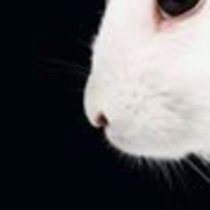 Profile picture for Kuelho 27