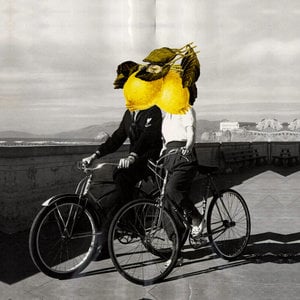 Profile picture for twin lemons
