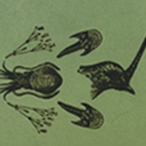 Profile picture for Delicate Cutters