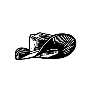 Profile picture for David Wild