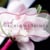 Pink Orchid Weddings