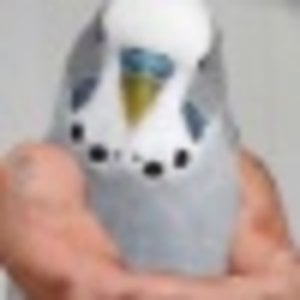 Profile picture for jon turburfield