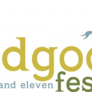 Profile picture for Wild Goose