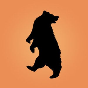 Profile picture for Murderbird Media