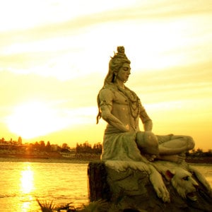Profile picture for The Veda Center