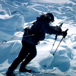 Profile picture for Polar Vision