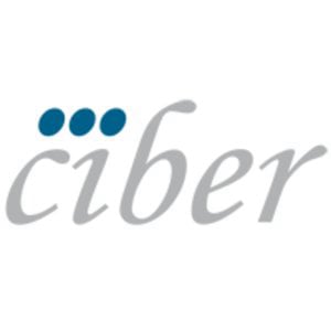 Profile picture for ciber