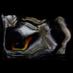 Profile picture for zeitgebilde