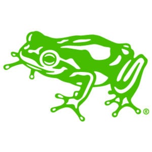 Profile picture for frog