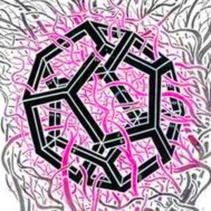 Profile picture for notintricate