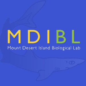 Profile picture for MDIBL