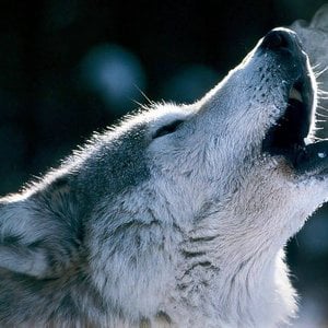 Profile picture for Troy Tunney