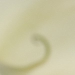 Profile picture for Geoffrey ODonnell