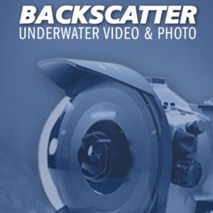Profile picture for Backscatter