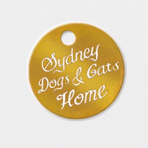 Profile picture for Sydney Dogs & Cats Home