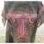 elephantinspace