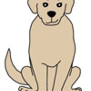 Profile picture for Fetch
