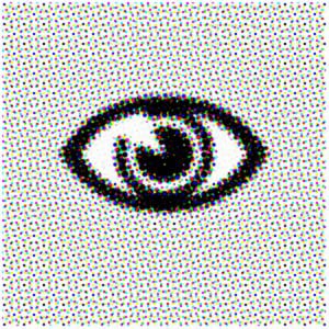 Profile picture for Jeremy Leaird-Koch