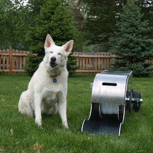 Profile picture for Boo Dog Winches