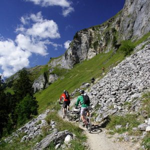 Profile picture for SwissAlpineAdventure