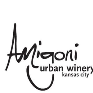 Profile picture for Michael Amigoni