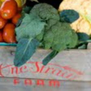 Profile picture for One Straw Farm