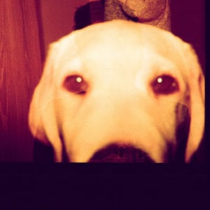 Profile picture for Anat Tenenbaum