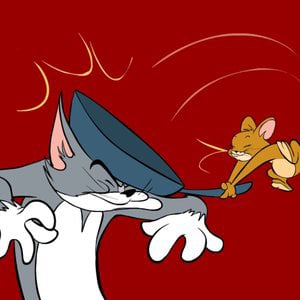 Profile picture for adolfo di molfetta