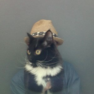 Profile picture for Stab attack