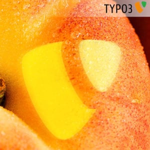 Profile picture for TYPO3 Videos