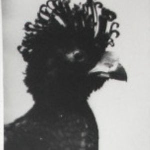Profile picture for Leo Bridle