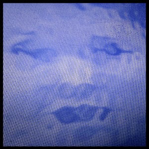 Profile picture for Jacopo Mattia Alegiani
