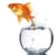 GoldfishPictures