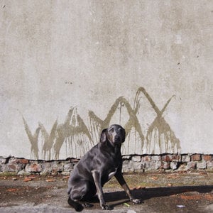 Profile picture for Waxxx