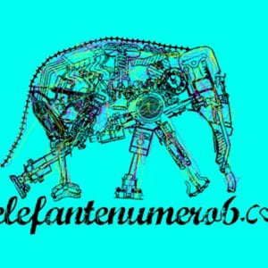 Profile picture for elefante numero 6