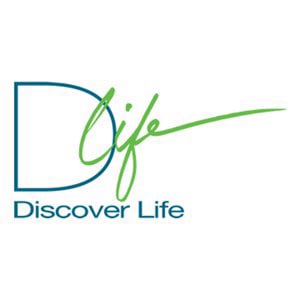 Profile picture for Discover Life Ministries