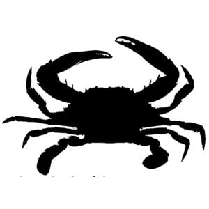 Profile picture for Rob Crabtree