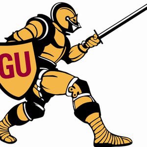 Profile picture for Gannon University Athletics