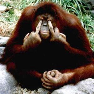 Profile picture for adam whittingham