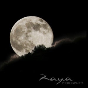 Profile picture for Raya Pixels