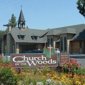 Profile picture for Church of the Woods