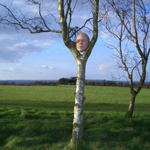 Profile picture for Pete Stevens
